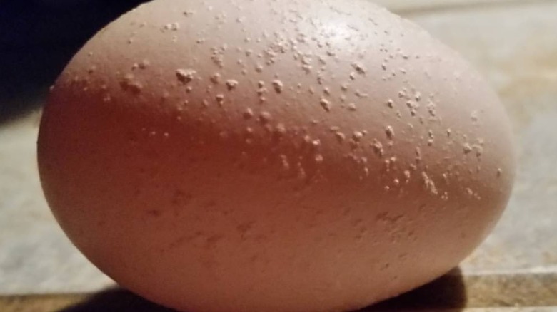 Closeup of pimpled egg