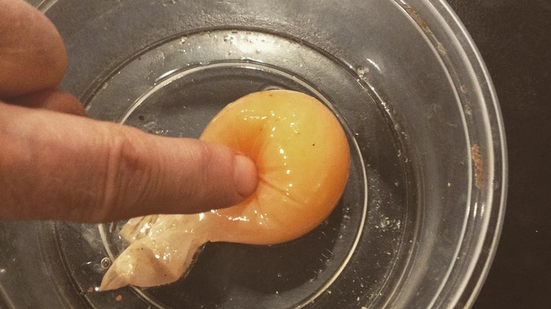 Shell-less egg in a plastic tub
