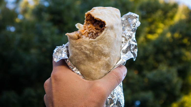 hand holding burrito