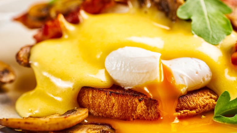 eggs benedict