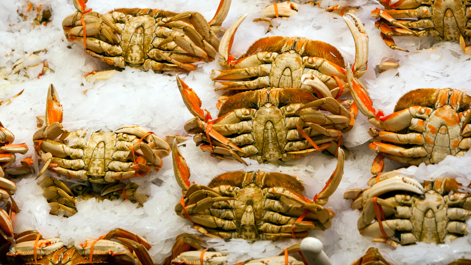 <a href="https://www.foodrepublic.com/2073271/1950s-seafood-dish-singapore-chili-crab/" target="_blank">The 1950s Crab Dish Everyone Should Try At Least Once</a>