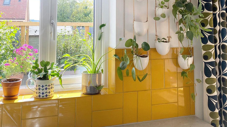 Mustard yellow tile backsplash with houseplants