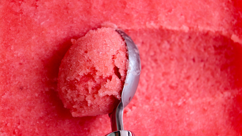 Scooping out some watermelon sherbet.
