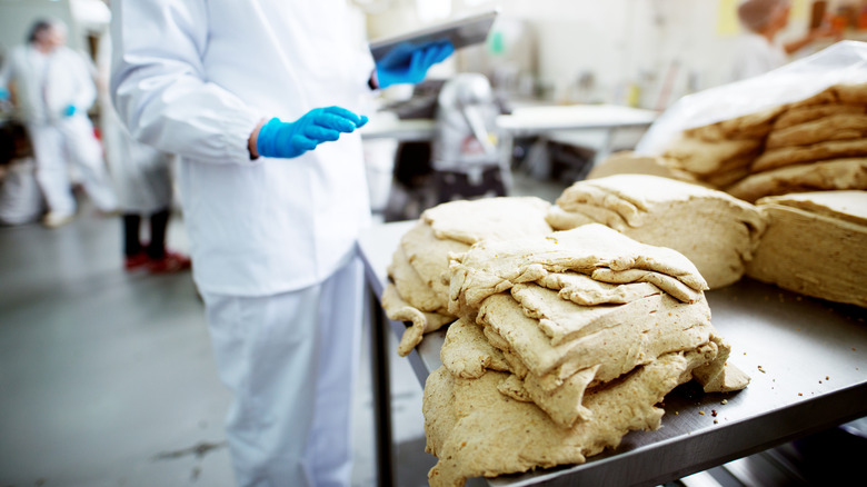 Raw dough on a desk being inspected by a worker.