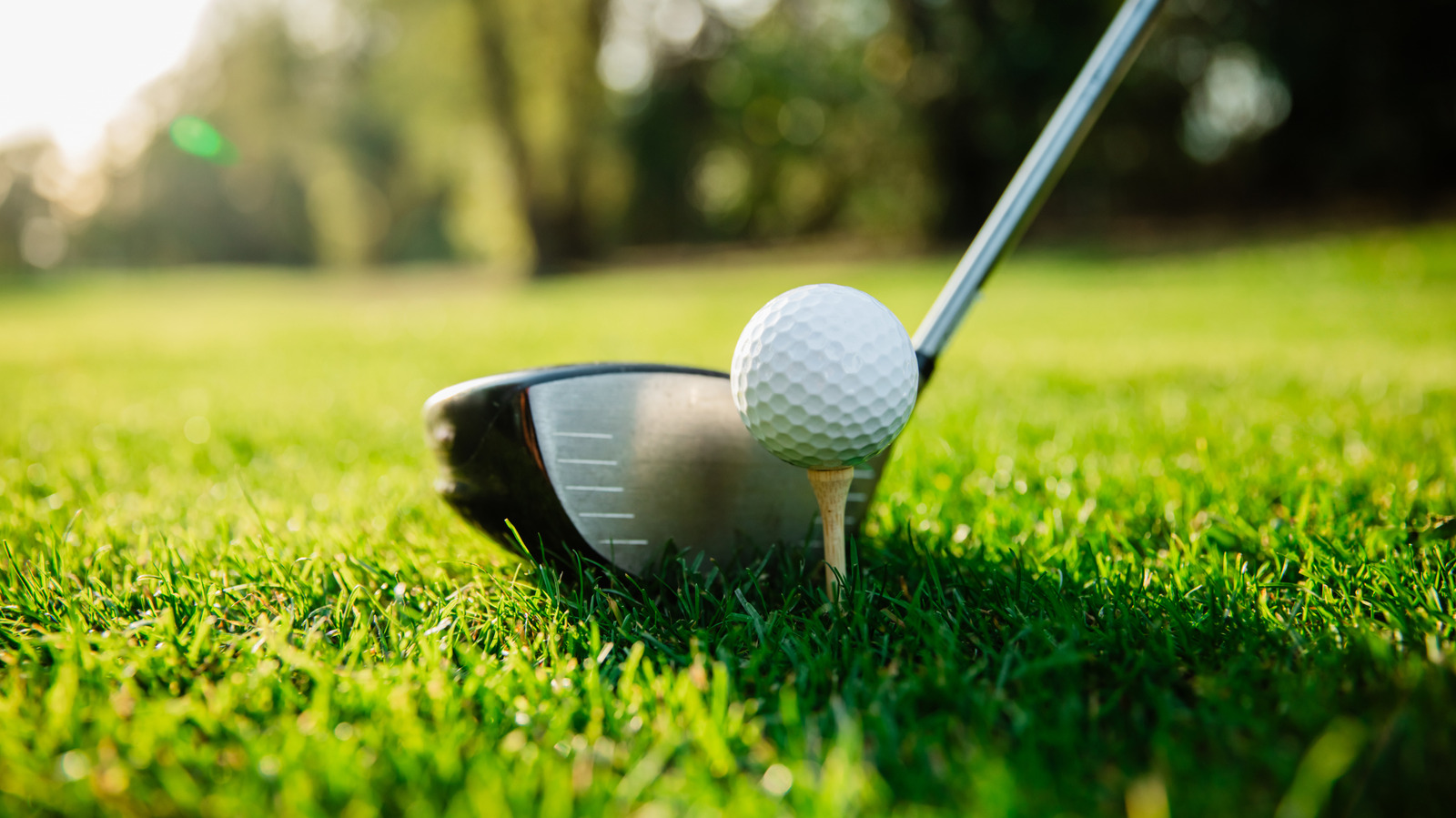FoodWireDaily — The 2017 Hash Brown Recall That Involved Golf Balls