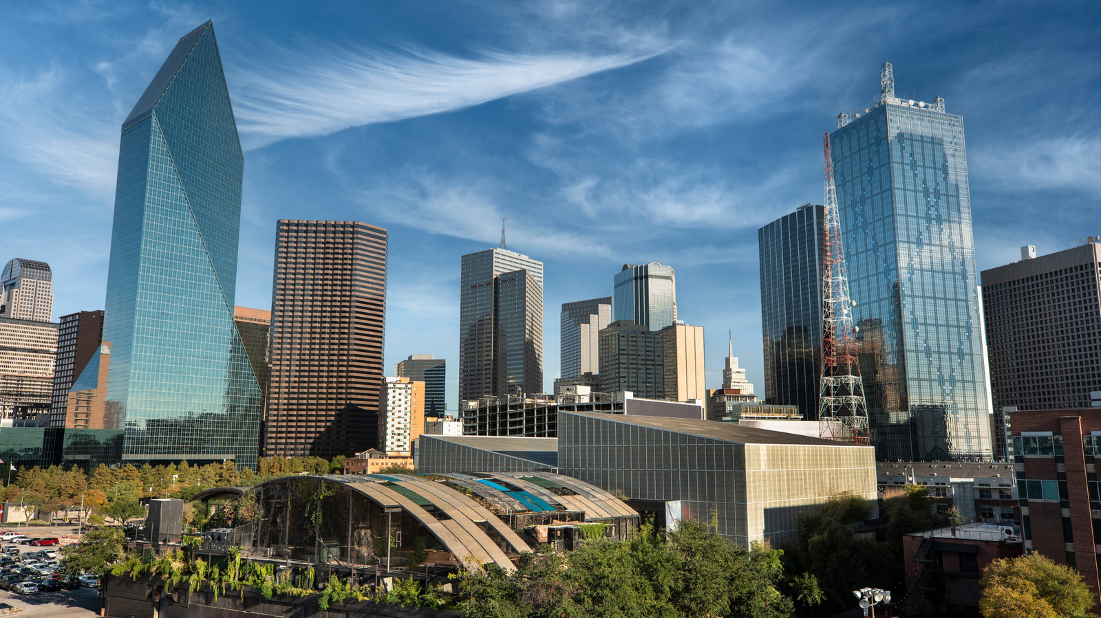 FoodWireDaily — The 5 Best Dallas Coffee Shops, According To A Local