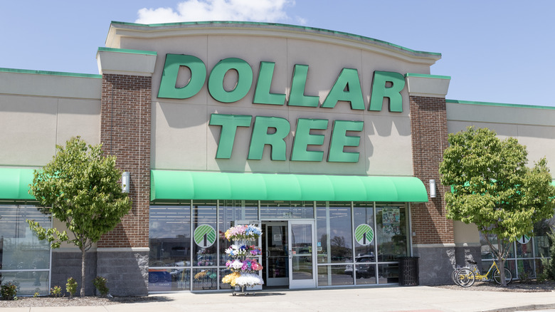 exterior of a Dollar Tree store