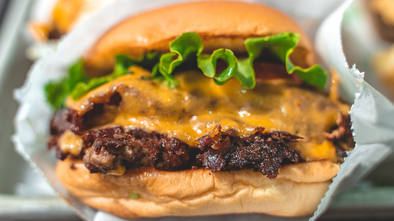 Shake Shack burger on potato roll