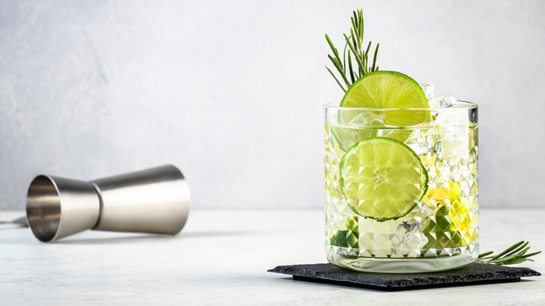 gin and tonic cocktail