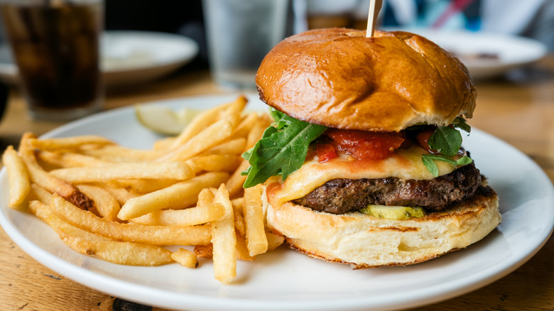 A cheeseburger and fries on a white plate with a pickle