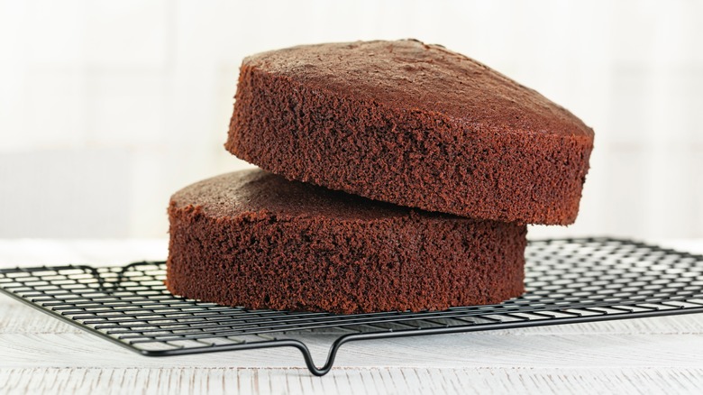 Chocolate cakes with domed tops