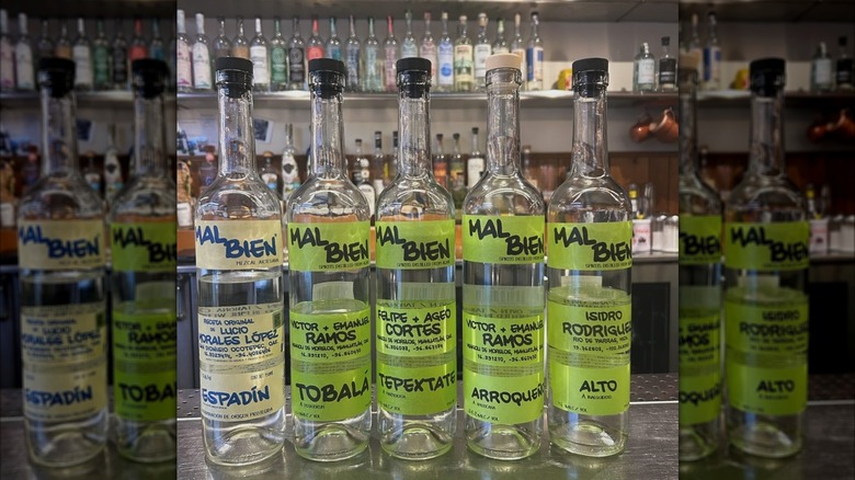 Various bottles of Mal Bien mezcal, including  Espadín Ramos, sit on the counter of a bar