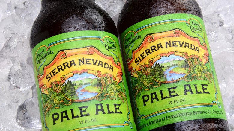 Sierra Nevada Pale Ale bottles on ice.