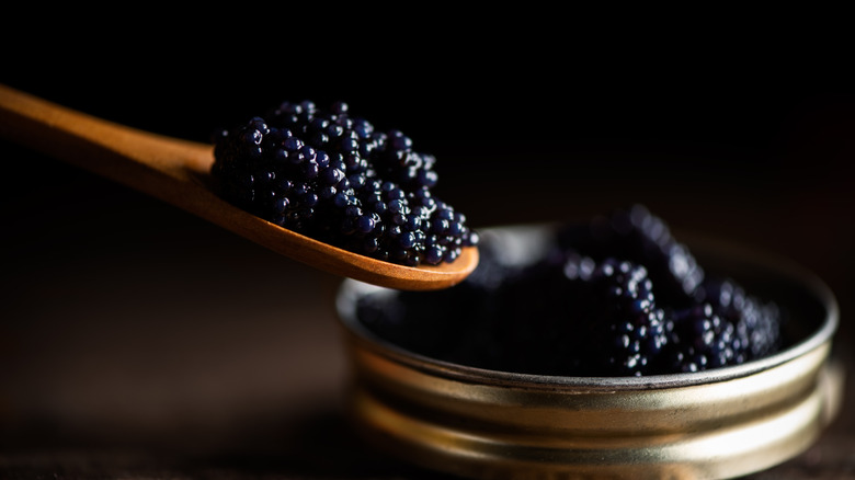 Caviar on a wooden spoon