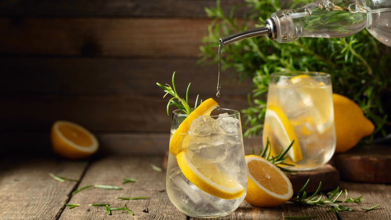 Gin and tonic cocktail
