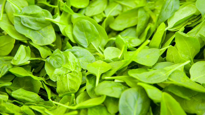 Close-up of spinach leaves