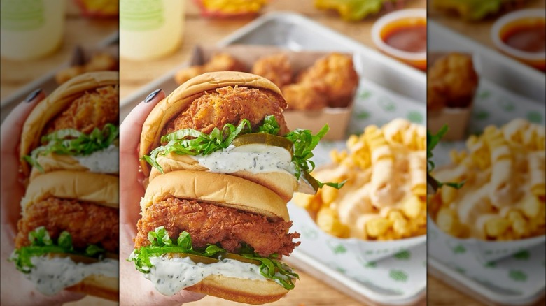 Person holding two chicken burgers