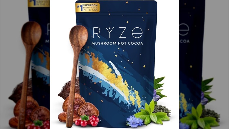 A wooden spoon, berries, mushrooms, and herbs are propped against a bag of Ryze Mushroom Hot Cocoa