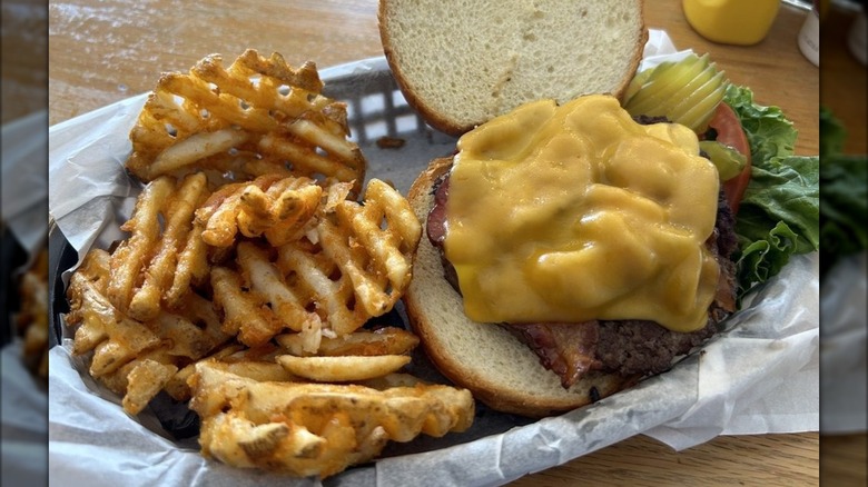 Bison burger and waffle fries at The Hive