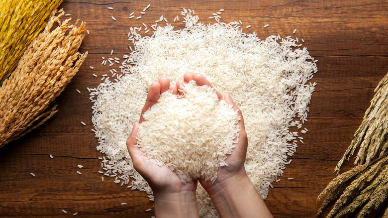 Hands holding dry jasmine rice 