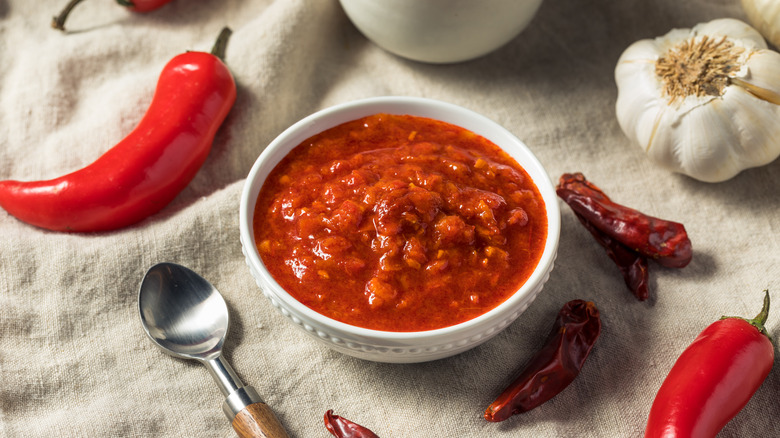bowl of harissa sauce