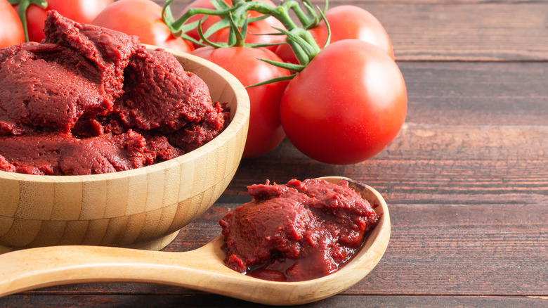 Tomato paste on a spoon and in a bowl