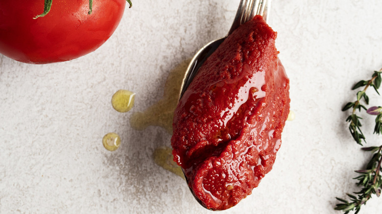 Tomato paste on a spoon