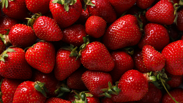 Gorgeously ruby red strawberries sit piled on top of each other
