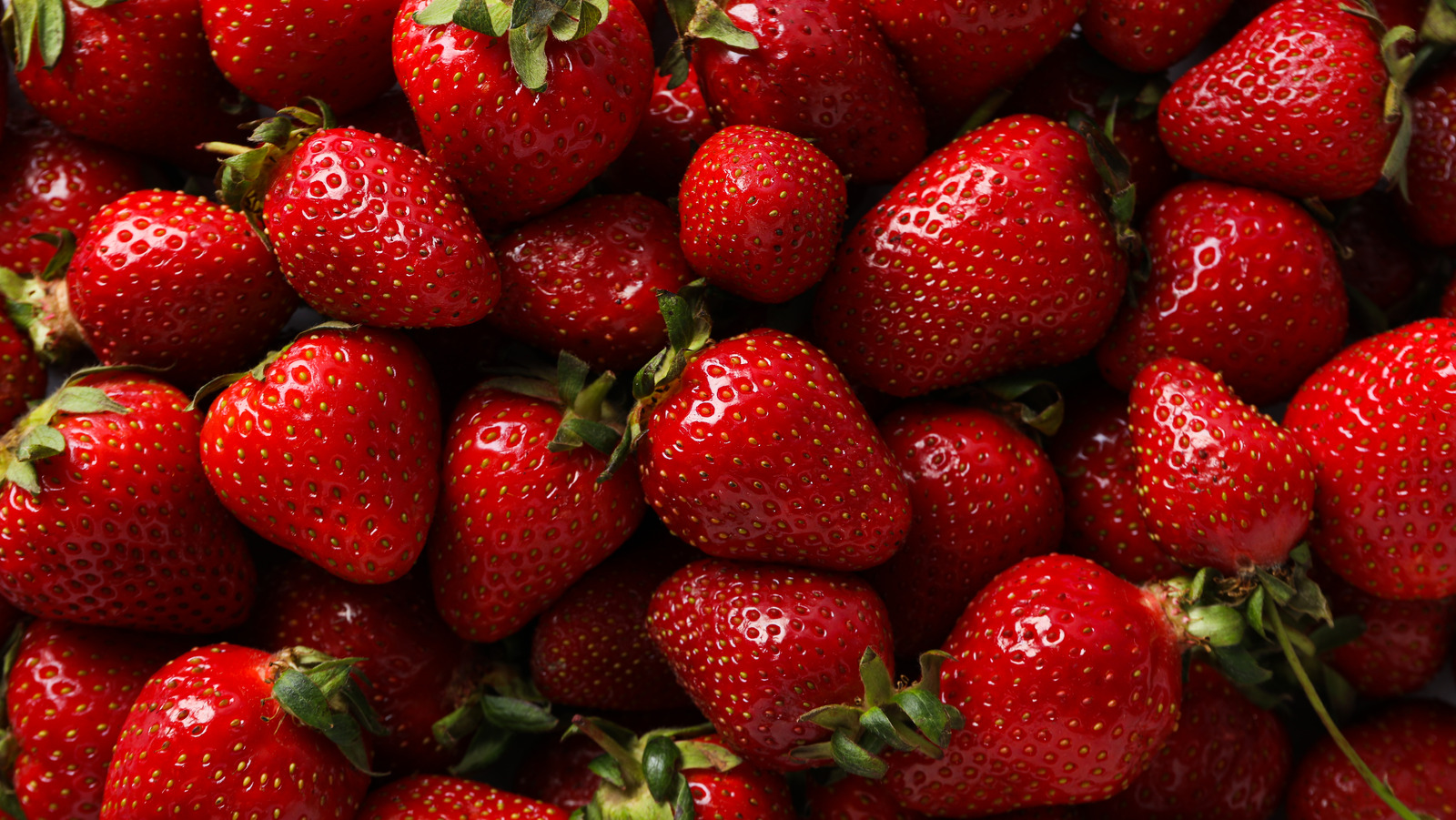 <a href="https://www.foodrepublic.com/1854397/best-temperature-store-strawberries/" target="_blank">The Best Temperature For Storing Strawberries And Maintaining Their Quality</a>
