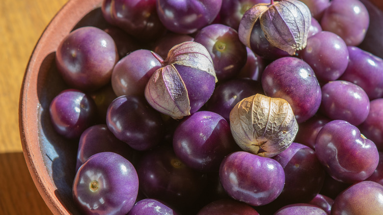 purple tomatillos in a bowl