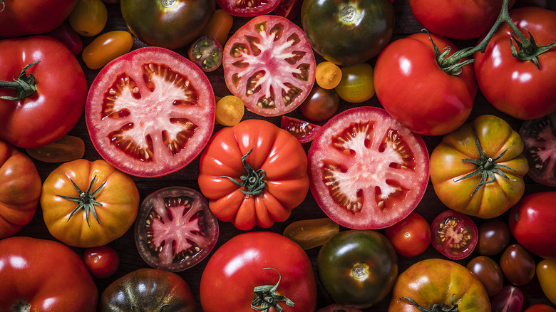 loads of tomatoes