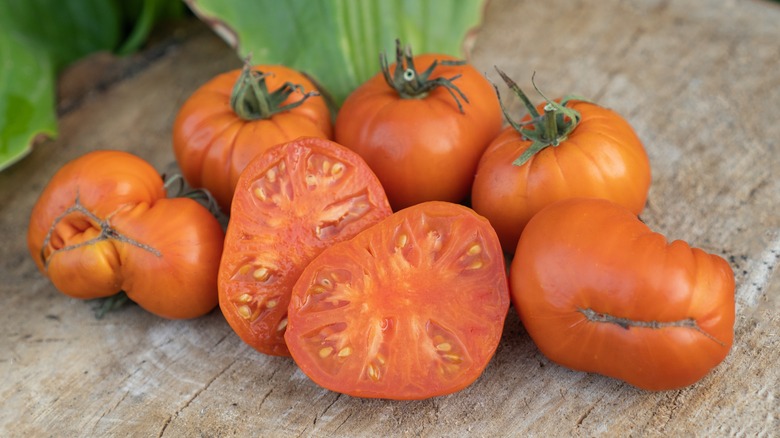 amana orange tomatoes sliced in half