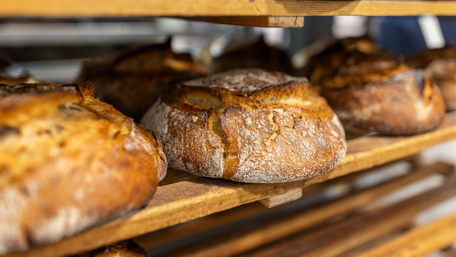 <a href="https://www.foodrepublic.com/1750638/best-flour-sourdough/" target="_blank">The Best Type Of Flour To Use When Making Sourdough</a>