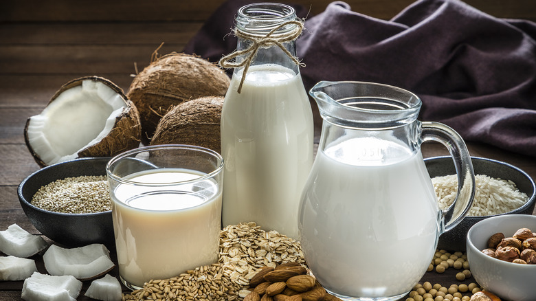 Pitchers of alternative milks