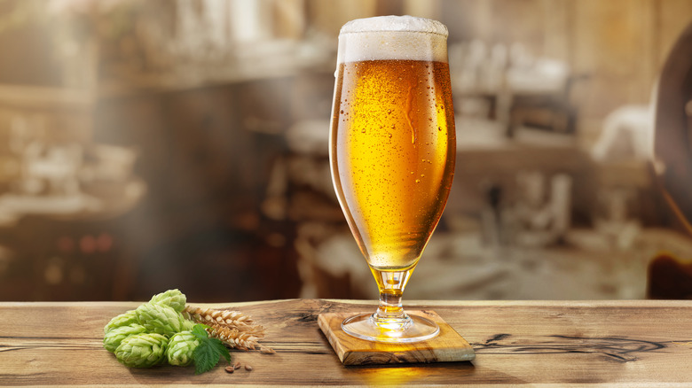 American lager on a wooden table with hops