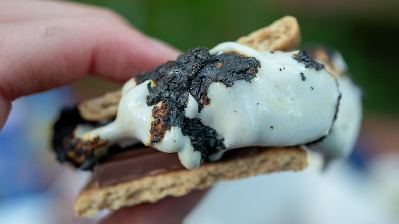 A hand holding a s'more.