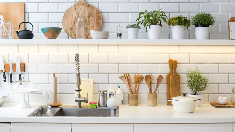 Kitchen sink with various utensils and plants
