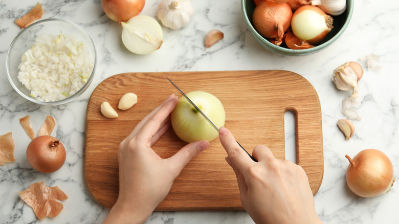 Person chopping onion