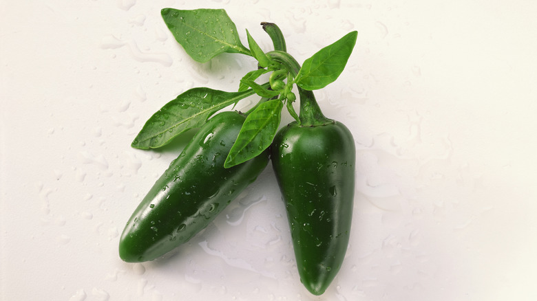 fresh jalapenos sitting on white counter background