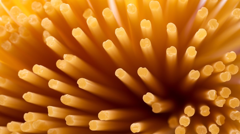 raw spaghetti