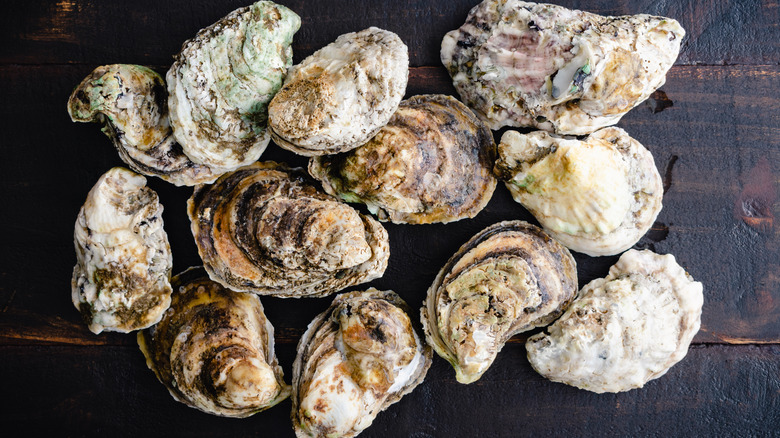 Whole oysters on wooden board