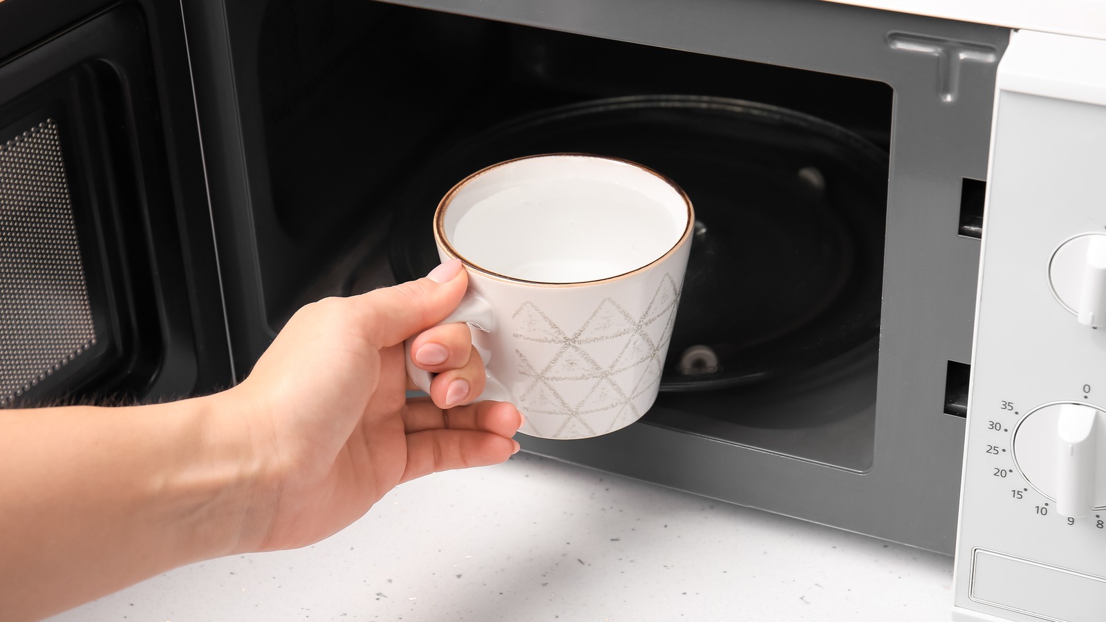 Столешница на печку. Растение у микроволновки. 2 Girls a Mug of Water in the Microwave. There is a fork in the Microwave.