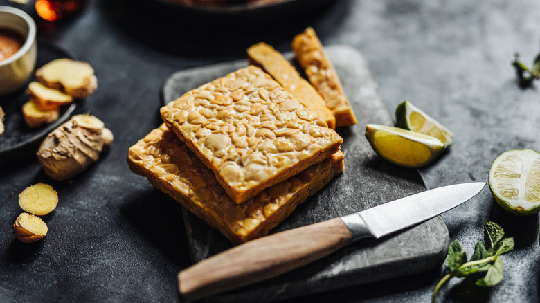 Two squares of tempeh