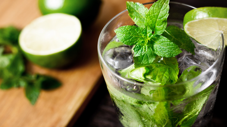 mojito cocktail with mint leaves