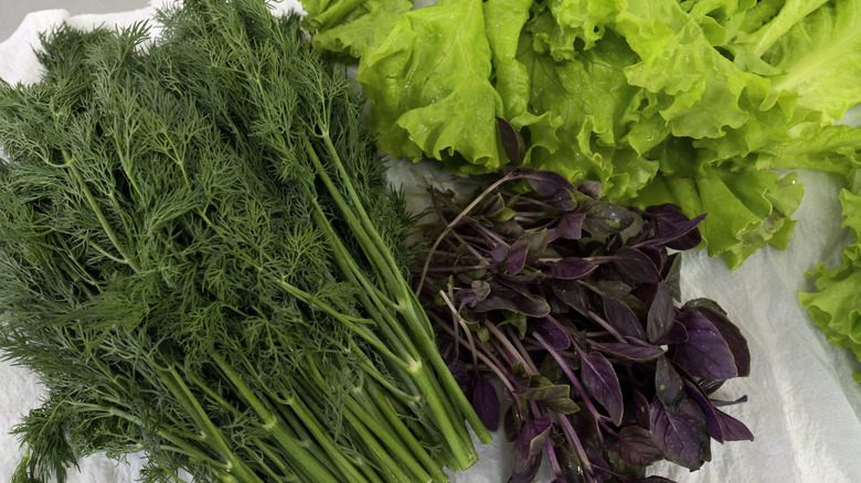 pre-cut leafy greens displayed over a paper towel