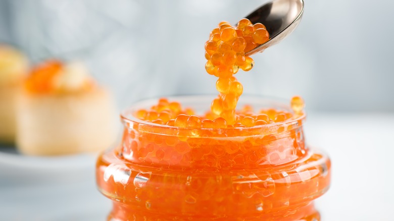 Spoonful of salmon roe