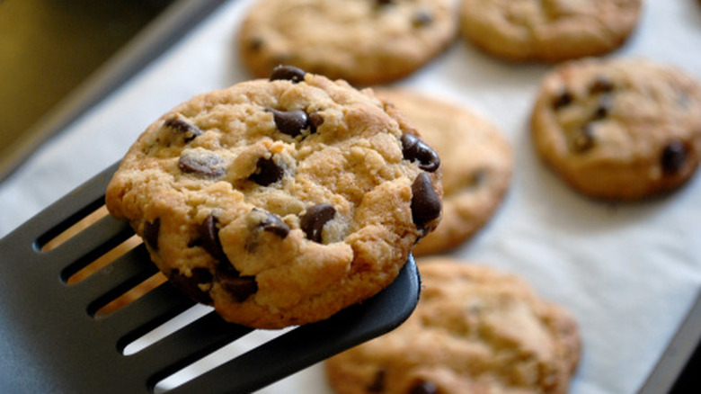 chocolate chip cookies with one on spatula