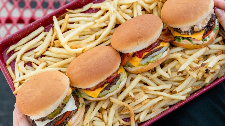 A top down view of a tray full of fries and several different types of burgers from Carl's Jr.