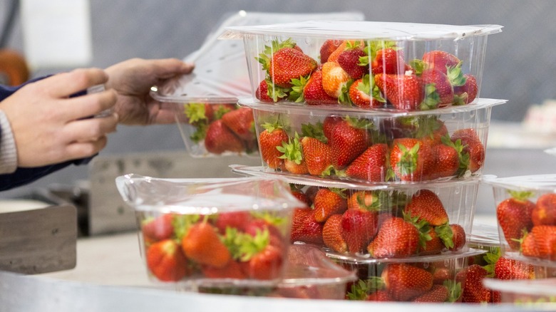 Strawberries in cartons