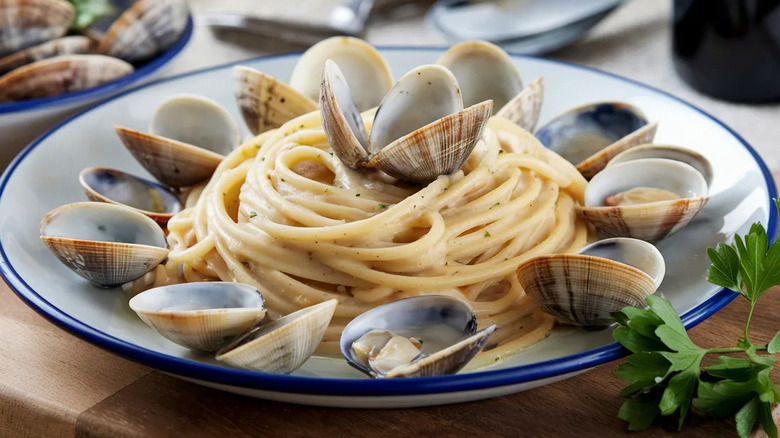 Plate of spaghetti alle vongole.